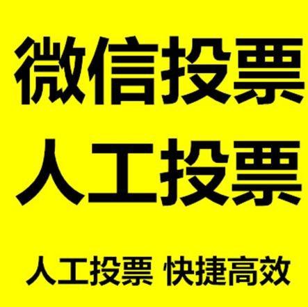 娄底市投票活动拉票能被查出来吗？如何操作能不被发现？